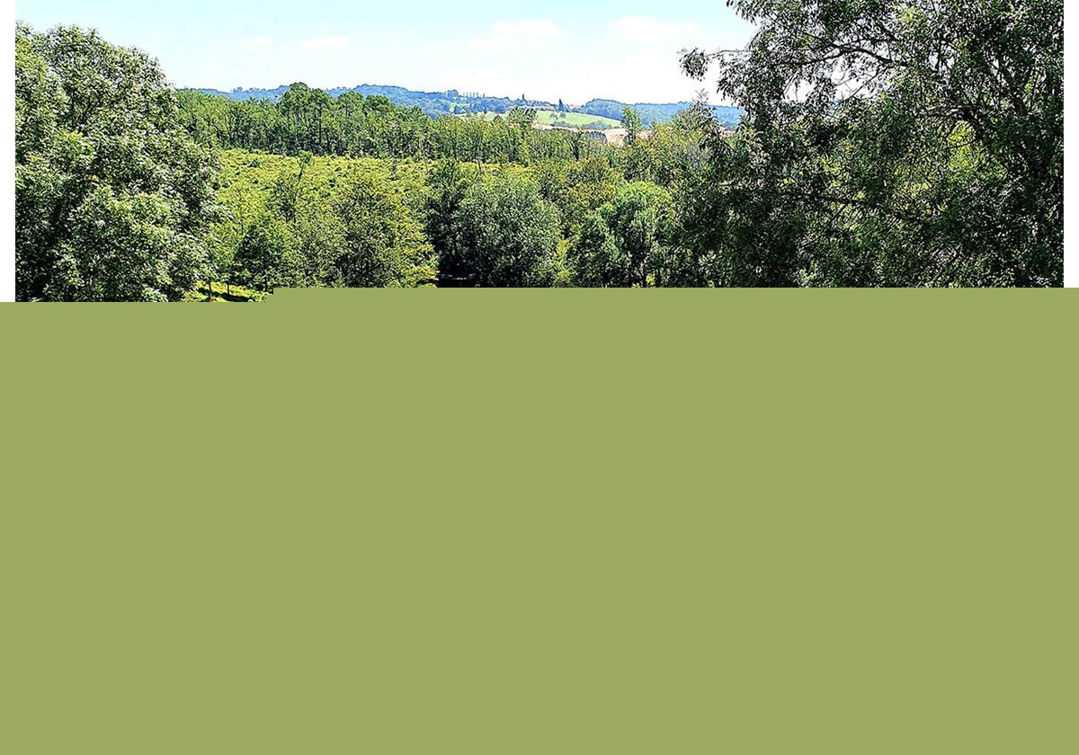 Belle vue nature